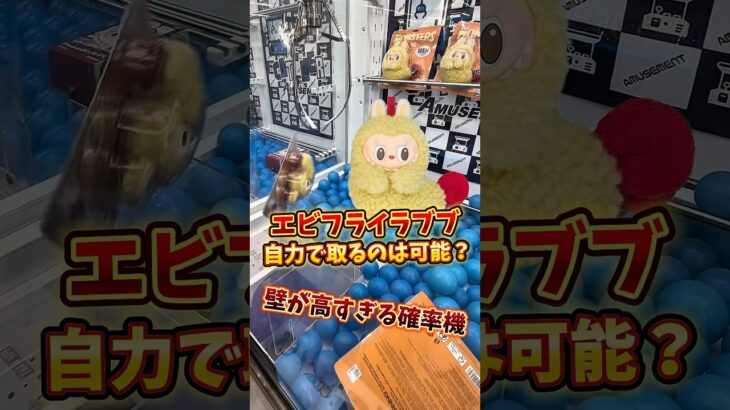 【ゲーセン】壁が高すぎる確率機に入ったラブブを自力ゲットすることは可能なのか検証してみました。