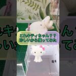 【クレーンゲーム攻略】これキティちゃん？？珍しいから獲ってみた