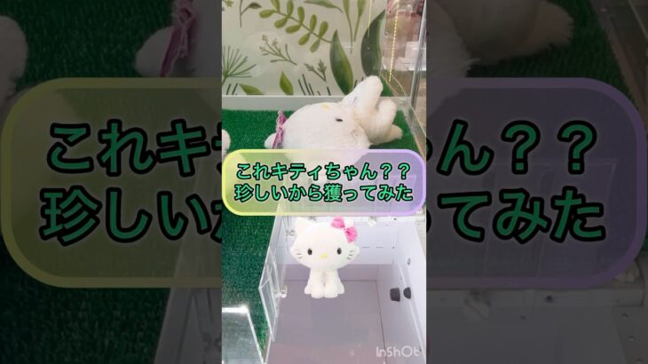 【クレーンゲーム攻略】これキティちゃん？？珍しいから獲ってみた