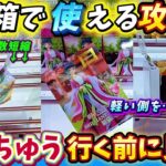 [クレーンゲーム] おたちゅうデカ箱攻略！再販の猫猫初版のリベンジなるか…！ [ユーフォーキャッチャー]