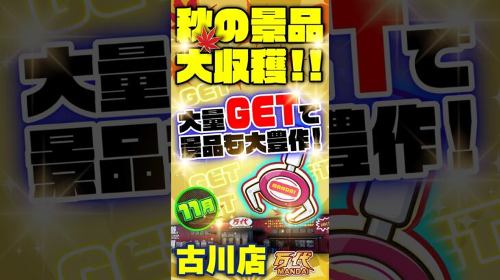 【万代 古川店】獲れすぎ注意！大興奮の雪崩で爆獲れ体験！#クレーンゲーム