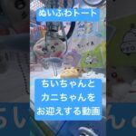 【ちいかわ】ぬいふわトートを取ってきたよ♡