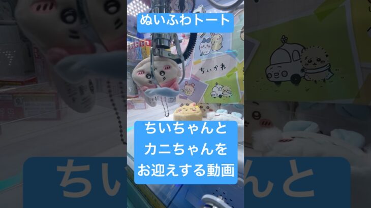 【ちいかわ】ぬいふわトートを取ってきたよ♡