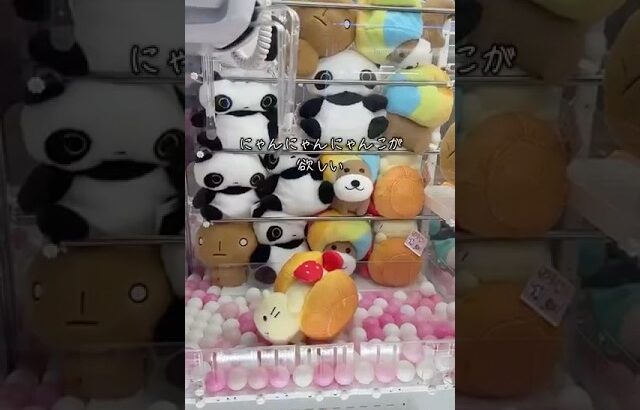 にゃんにゃんにゃんこ救出！！#にゃんにゃんにゃんこ #ユーホーキャッチャー  #平成女児 #平成レトロ #サンエックス