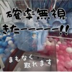 【クレーンゲーム】欲しい景品を取りに一人でベネクス川崎店行ってきた
