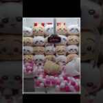 【クレーンゲーム】これが確率😽#クレーンゲーム #オンラインクレーンゲーム#ちいかわ