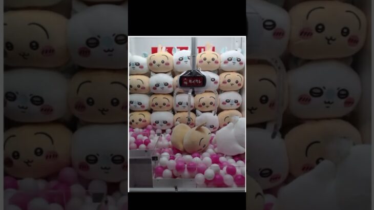 【クレーンゲーム】これが確率😽#クレーンゲーム #オンラインクレーンゲーム#ちいかわ