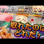 クレーンゲームは甘くないことを痛いほど実感しました