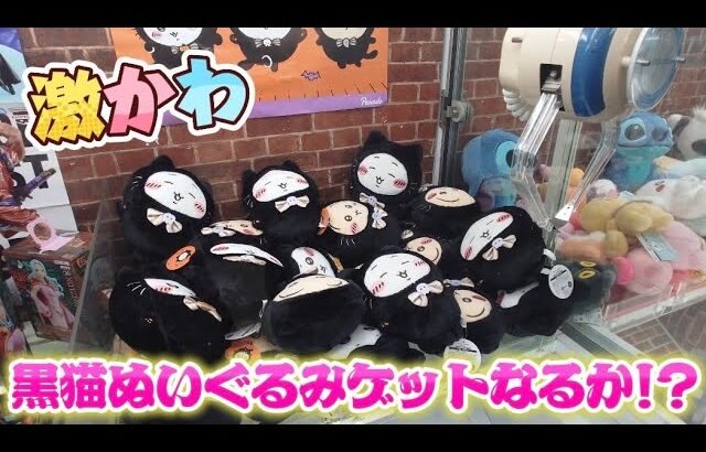 「落ちそうで落ちない!? 黒猫ぬいぐるみ攻略チャレンジ！」
