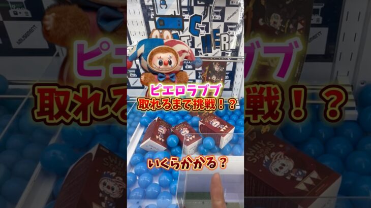 【ゲーセン】ピエロの激レアラブブがクレーンゲームに入ってたので取れるまで挑戦してみました。