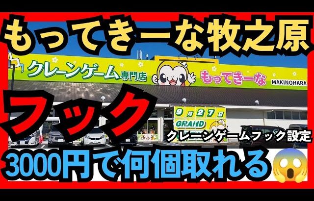 【フックはここを狙う】 もってきーな牧之原　クレーンゲームフック設定　フック攻略なるか？【クレーンゲーム】 #もってきーな #もってきーな牧之原 #フック