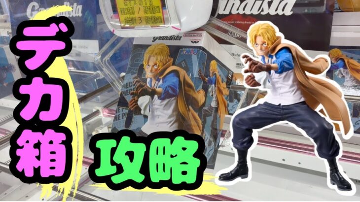 【ワンピースフィギュア】デカ箱攻略