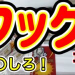 【クレーンゲーム 検証】フック設定の台を〇〇したら景品は取れるのか！？万代書店でガチ勝負🔥