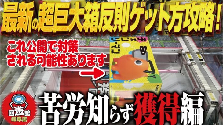 【クレーンゲーム】超巨大箱に挑む！反則級ゲット方公開！攻略！回遊館岐阜店！