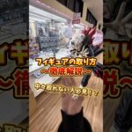 【ゲーセン】フィギュアの取り方が分からない人必見！橋渡し設定の取り方徹底解説してみました。