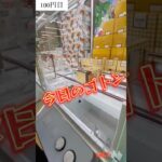 今日のゴトン　vol.1  景品はスヌーピーの弁当箱　#クレーンゲーム　#ufoキャッチャー