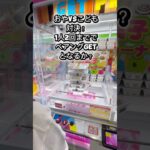 【親vs子クレーンゲーム対決】予算1人200円でペアングGETとなるか？#クレーンゲーム #クレーンゲーム攻略 #cranelove #ufoキャッチャー #親子対決