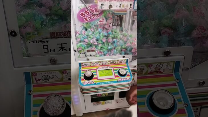 必死ですw #ゲームセンター #クレーンゲーム景品 #クレーンゲーム #クレーンゲーム攻略 #ゲーセン #ufoキャッチャー