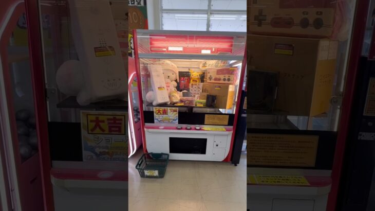 超巨大ガチャで巨大景品を狙った結果ww #shorts #クレーンゲーム #ufoキャッチャー #ゲーセン #clawmachine #arcade
