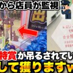 【罰当たり】店員に監視されながら神社とセンサーを壊して特賞を獲ってみたwwww【クレーンゲーム】