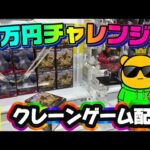 【1万円チャレンジ】にゃんまる大感謝ブース!!! LIVE IN ME TOKYO SHINJUK