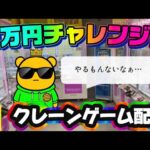 【1万円チャレンジ】きまぐれにクレゲしていきます。 LIVE IN ME TOKYO SHINJUKU