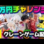 【1万円チャレンジ】二次元ボニーキャンペーンは明日まで!!ワンピース縛りで追い込みかけます!!!  LIVE IN ME TOKYO SHINJUKU