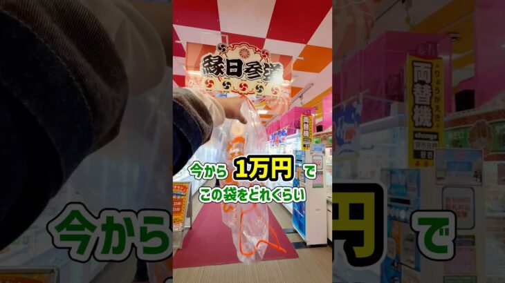 熊本のゲーセンで1万円チャレンジをしたらまさかの結果に、、、 #shorts #クレーンゲーム #ufoキャッチャー #ゲーセン #ゲームセンター #arcade #clawmachine