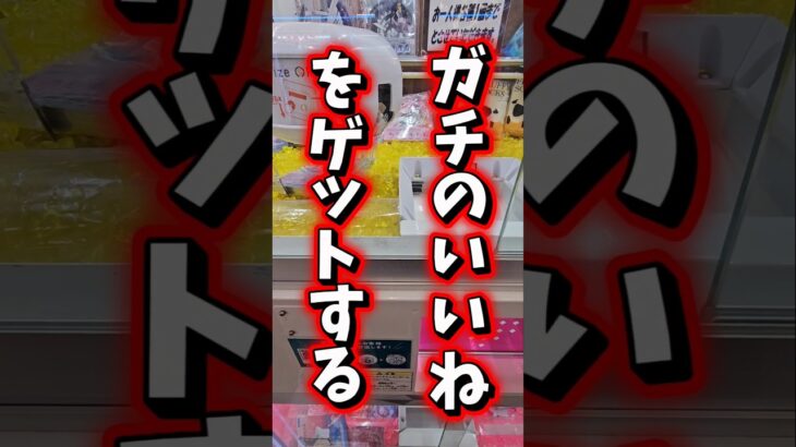 【筐体購入!?】1万いいねで業務用クレーンゲームをママに買ってもらう！ #クレーンゲーム #ゲームセンター #ufoキャッチャー