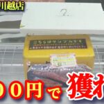 【永久保存版】クレーンゲーム100円でお肉やお米の景品の取るコツを紹介
