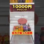 世界一獲れるゲーセンで、10000円チャレンジした結果が…‼︎ #shorts #クレーンゲーム #ufoキャッチャー #cranegame