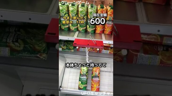 一日1000円しか使えないクレーンゲームの景品だけで生活20日目 #クレーンゲーム #ufoキャッチャー #clawmachine #ゲームセンター #ゲーセン
