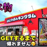 【アホ企画】ゲームセンターでお菓子100個取れるまで帰れませんｗｗ【クレーンゲーム／UFOキャッチャー】《高評価3000達成で企画継続》