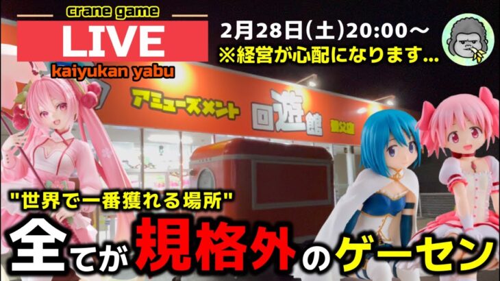 【クレーンゲーム】世界で1番獲れる場所へ！全てが規格外のお店で暴れます！【回遊館養父店・UFOキャッチャー】
