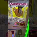 20円キャッチャーにゃんこ大戦争⑦ #ゲーセン #shorts  #フック #夾娃娃機 #ゲームセンター #uFoキャッチャー ＃夾娃娃＃ゲーセン＃倉庫系 #クレーンゲーム #ゲッタースピン