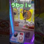 20円キャッチャーにゃんこ大戦争③ #ゲーセン #shorts  #フック #夾娃娃機 #ゲームセンター #uFoキャッチャー ＃夾娃娃＃ゲーセン＃倉庫系 #クレーンゲーム #ゲッタースピン