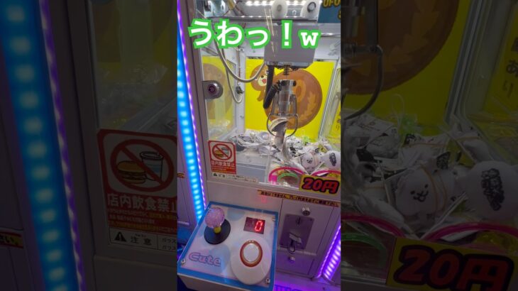 20円キャッチャーにゃんこ大戦争③ #ゲーセン #shorts  #フック #夾娃娃機 #ゲームセンター #uFoキャッチャー ＃夾娃娃＃ゲーセン＃倉庫系 #クレーンゲーム #ゲッタースピン