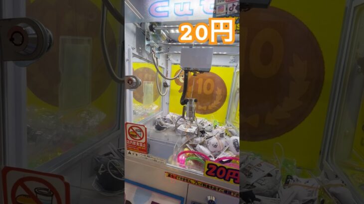20円キャッチャーにゃんこ大戦争② #ゲーセン #shorts  #フック #夾娃娃機 #ゲームセンター #uFoキャッチャー ＃夾娃娃＃ゲーセン＃倉庫系 #クレーンゲーム #ゲッタースピン