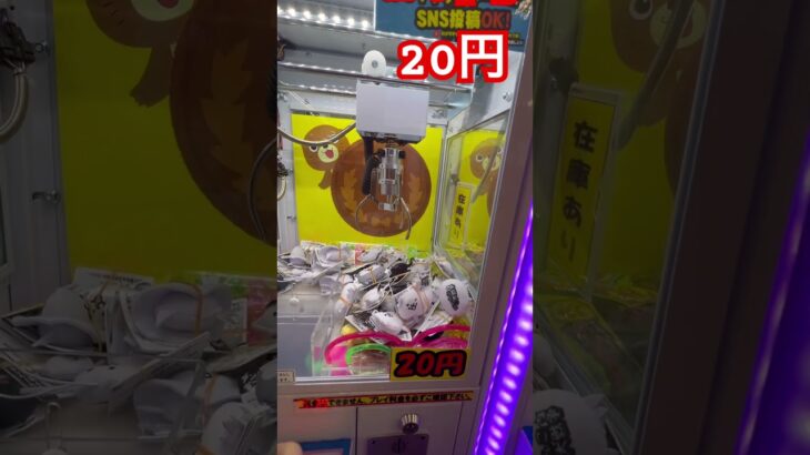 20円キャッチャーにゃんこ大戦争① #ゲーセン #shorts  #フック #夾娃娃機 #ゲームセンター #uFoキャッチャー ＃夾娃娃＃ゲーセン＃倉庫系 #クレーンゲーム #ゲッタースピン
