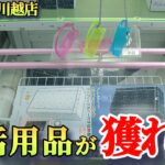 【神景品！】クレーンゲーム日本一獲れるお店で家具・家電・日用品の景品の取るコツを紹介【月刊ベネクス川越店】 #2026年2月