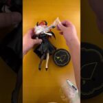 2/13登場 TVスペシャルアニメ「五等分の花嫁＊」BiCute Dark Figureー中野五月ー　 重心・開封情報