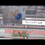 2月5日②千葉鑑定団松戸店【クレーンゲーム】