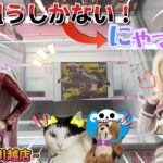 【勉強255日目】下に爪が入らない時は手前狙いだ！→えっっ！？びっくりたぬｗ！～ベネクス川越店～