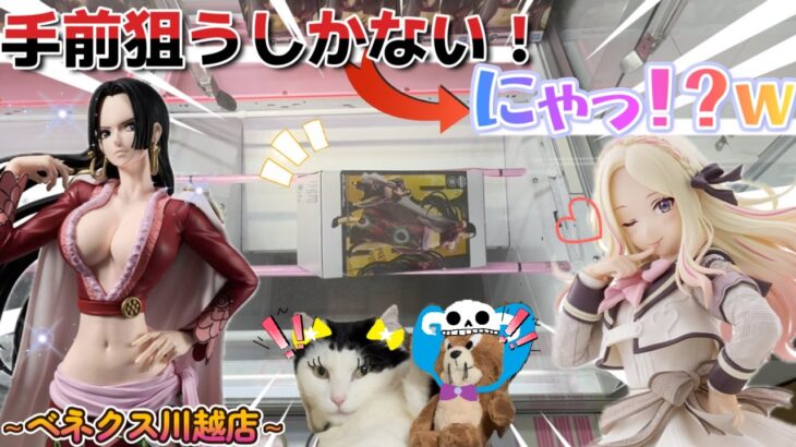 【勉強255日目】下に爪が入らない時は手前狙いだ！→えっっ！？びっくりたぬｗ！～ベネクス川越店～