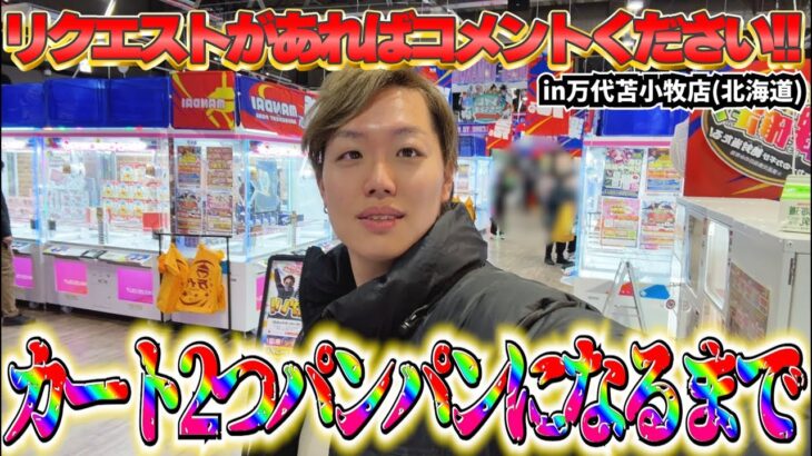 【予算2万円】北海道のゲーセンで乱獲しまくりたい！！！in万代苫小牧店