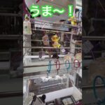吊上式のプロ級になった3連続②  #ゲーセン #shorts  #フック #夾娃娃機 #ゲームセンター #uFoキャッチャー #日本夾娃娃＃夾娃娃＃ゲーセン＃倉庫系 #クレーンゲーム #ゲッタースピン