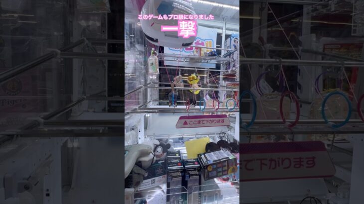 吊上式のプロ級になった3連続①  #ゲーセン #shorts  #フック #夾娃娃機 #ゲームセンター #uFoキャッチャー #日本夾娃娃＃夾娃娃＃ゲーセン＃倉庫系 #クレーンゲーム #ゲッタースピン