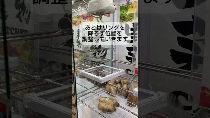 3回くらいでコツ掴む#クレーンゲーム #ufoキャッチャー #野菜 #ショート