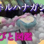 【3種類景品】#クレーンゲーム #ゲームセンター #ufoキャッチャー
