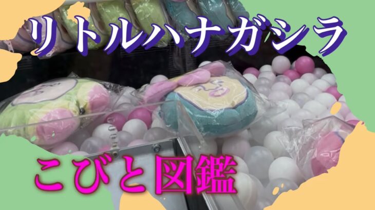 【3種類景品】#クレーンゲーム #ゲームセンター #ufoキャッチャー